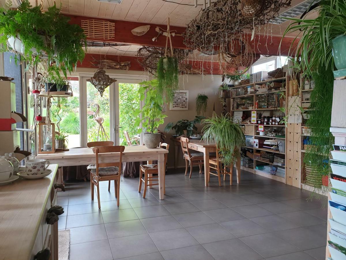 Appartementen Het Oude Atelier Schoorl Esterno foto